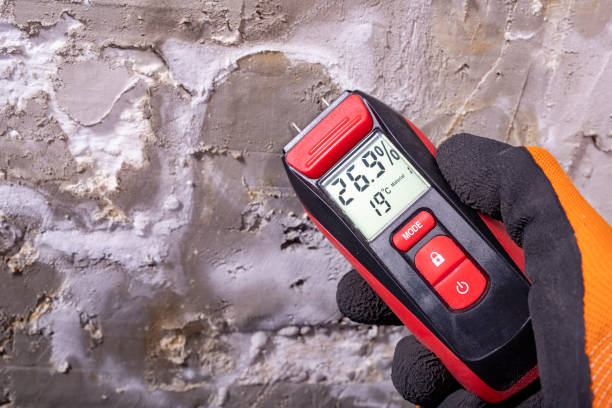 Best Mold Removal and Inspection  in Westville, OK