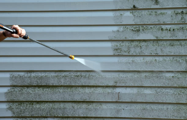 Best Local Mold Removal Service  in Westville, OK