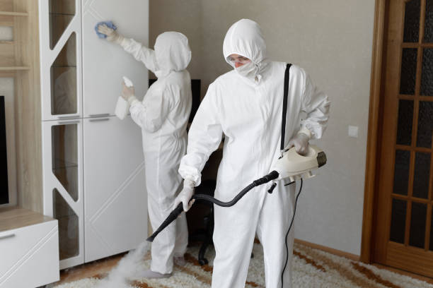Best Home Mold Removal  in Westville, OK