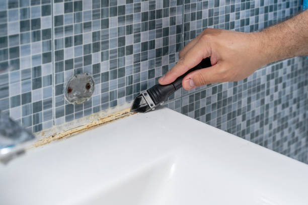 Best Mold Removal Process  in Westville, OK
