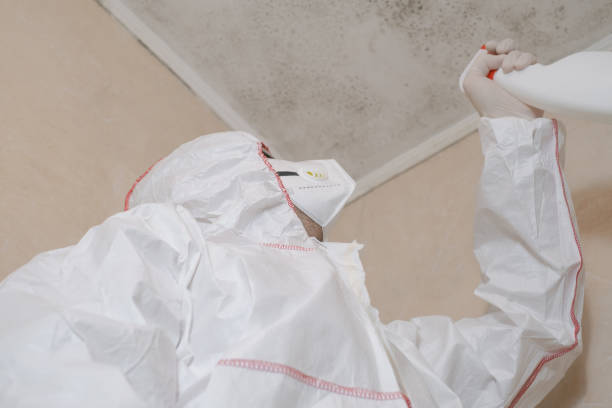Best Crawl Space Mold Removal  in Westville, OK